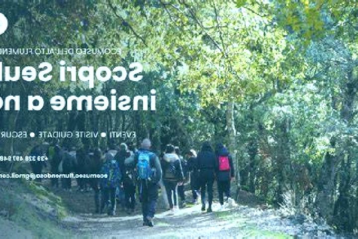 Escorts Perfugas, Italy — Local Companions