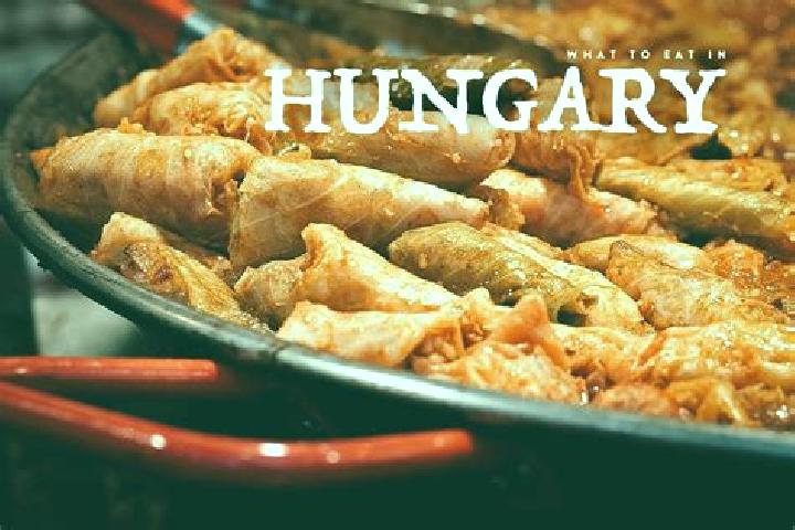 Escorts Pestujhely, Hungary — Local Companions