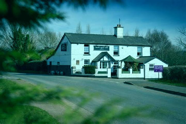 Escorts Peterchurch, United Kingdom — Local Companions