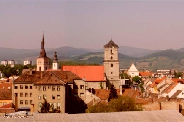 Escorts Pezinok, Slovakia — Local Companions
