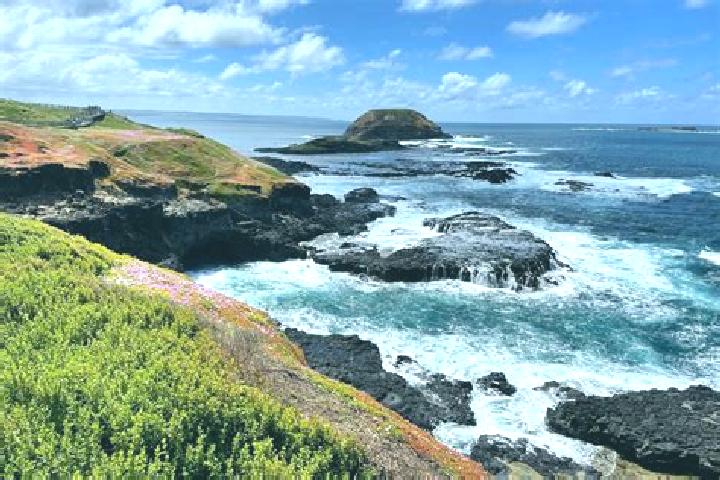Escorts Phillip Island, Australia — Local Companions