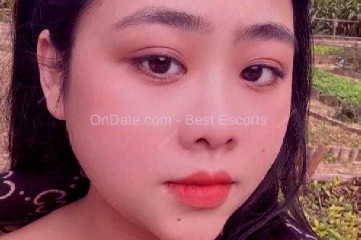 Escorts Phong Thanh, Vietnam — Local Companions