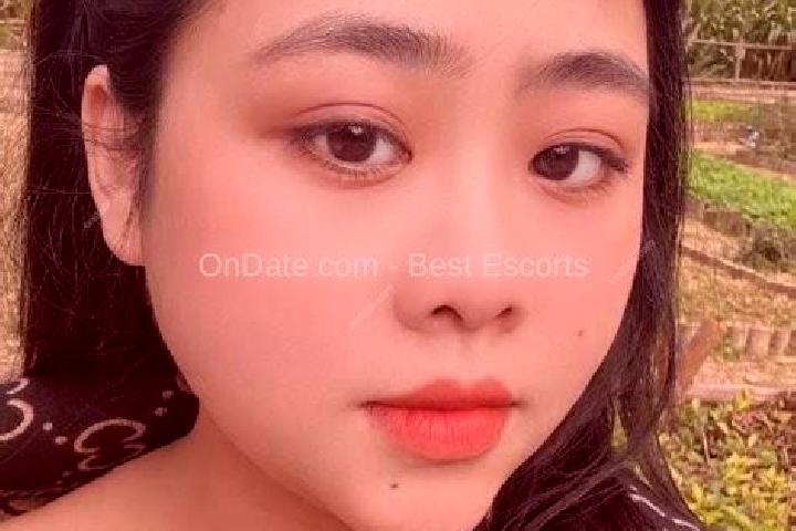 Escorts Phu Khuong, Vietnam — Local Companions