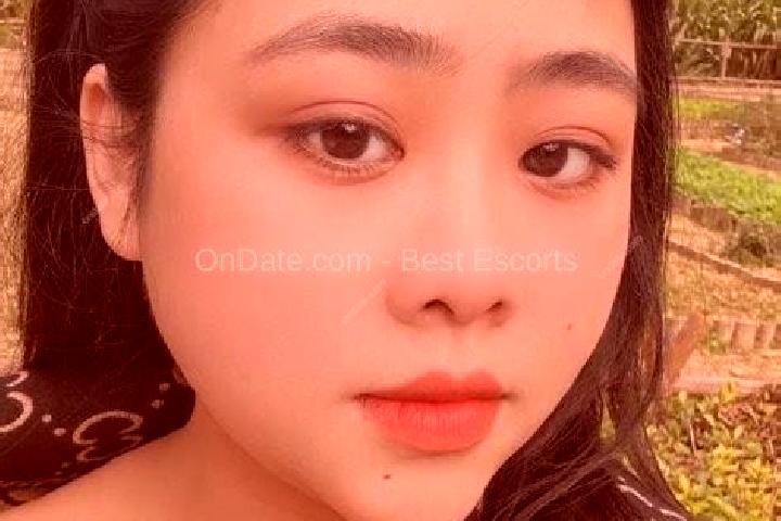 Escorts Phu Thong, Vietnam — Local Companions