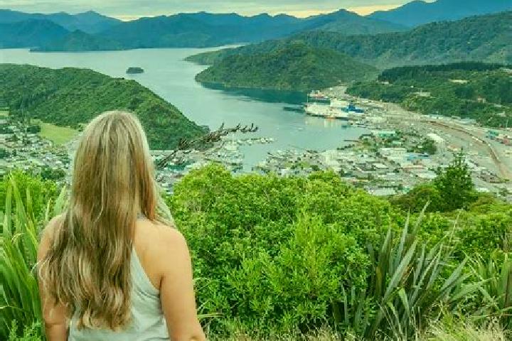 Escorts Picton, New Zealand — Local Companions