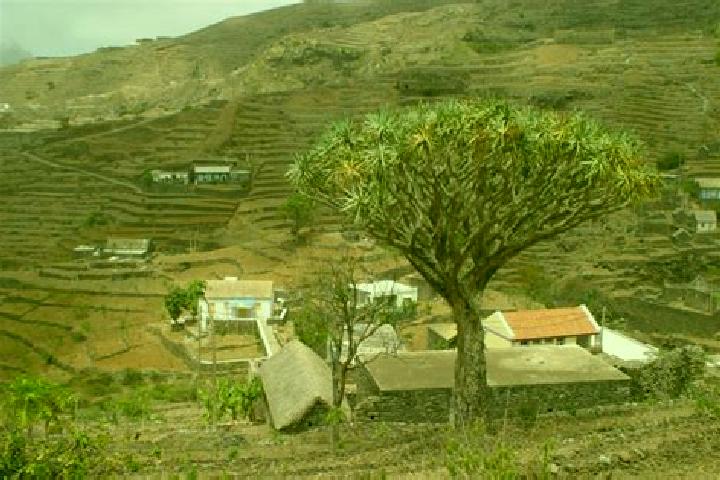 Escorts Pinhao, Cape Verde — Local Companions