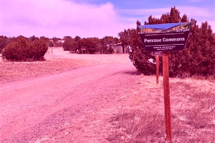 Escorts Pinon, United States — Local Companions