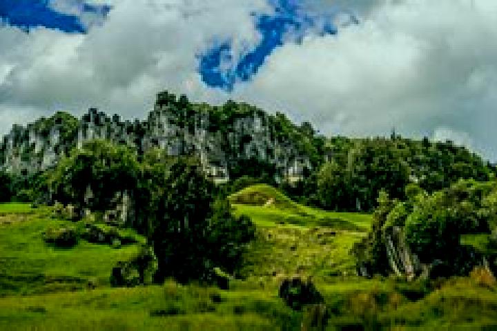 Escorts Piopio, New Zealand — Local Companions