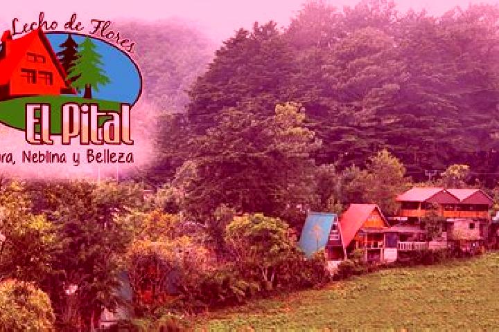 Escorts Pital, Costa Rica — Local Companions
