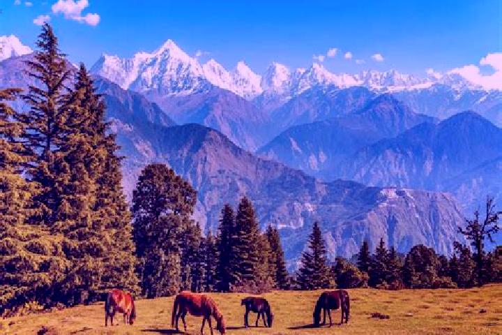 Escorts Pithoragarh, India — Local Companions