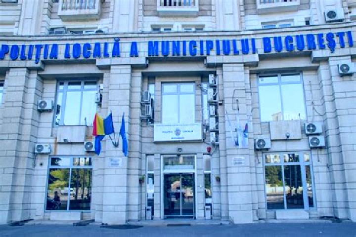Escorts Plesoi, Romania — Local Companions