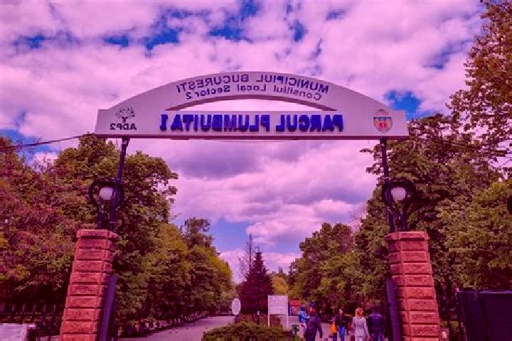 Escorts Plumbuita, Romania — Local Companions