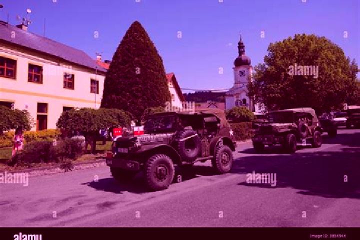 Escorts Pocinovice, Czech Republic — Local Companions