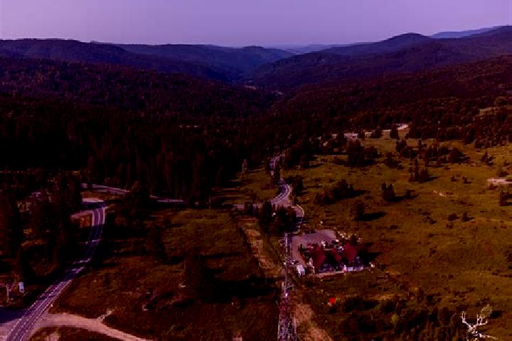 Escorts Poiana Copaceni, Romania — Local Companions