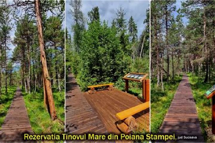 Escorts Poiana Stampei, Romania — Local Companions