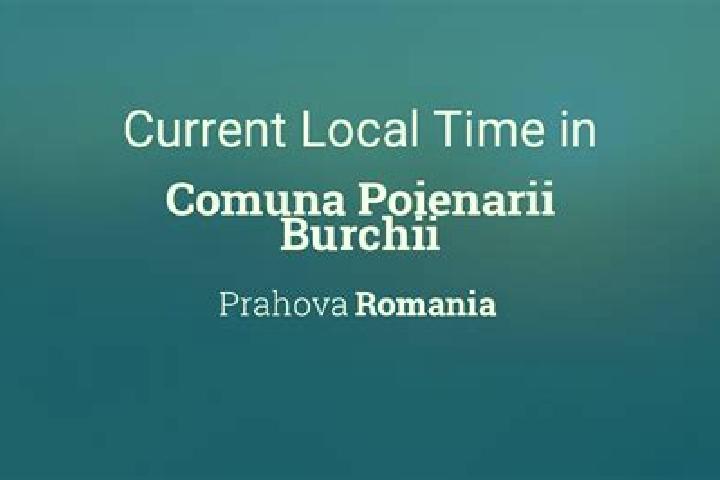 Escorts Poienarii Burchii, Romania — Local Companions