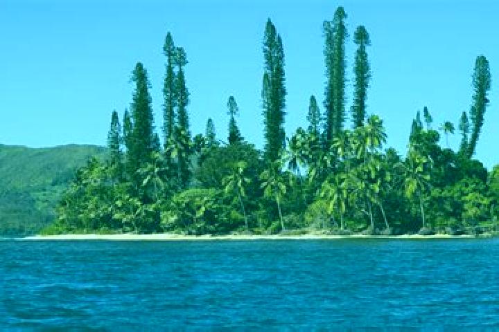 Escorts Poindimie, New Caledonia — Local Companions