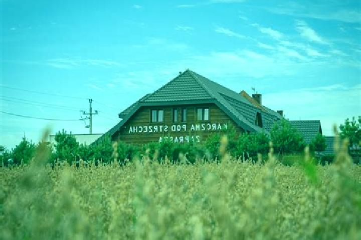 Escorts Pokrzywnica, Poland — Local Companions