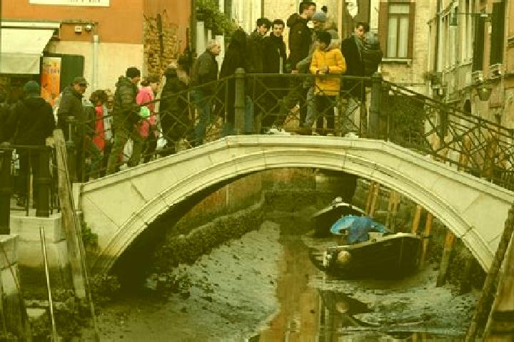 Escorts Ponte nell Alpi, Italy — Local Companions