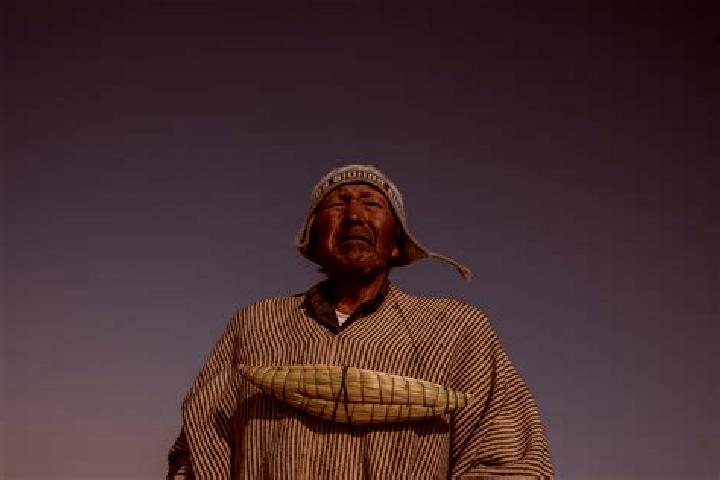 Escorts Poopo, Bolivia — Local Companions