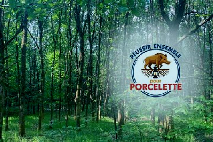 Escorts Porcelette, France — Local Companions