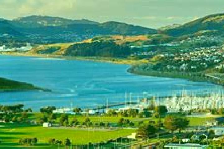 Escorts Porirua, New Zealand — Local Companions