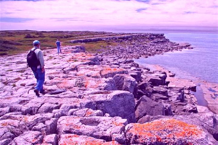 Escorts Port au Choix, Canada — Local Companions