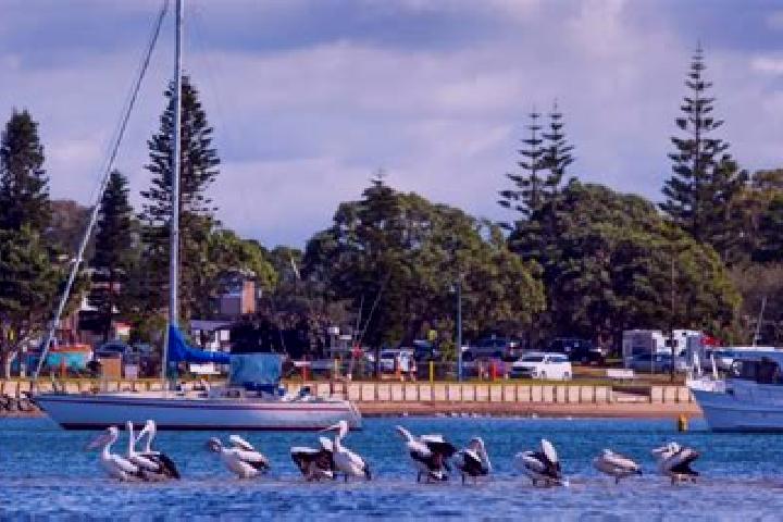 Escorts Port Macquarie, Australia — Local Companions