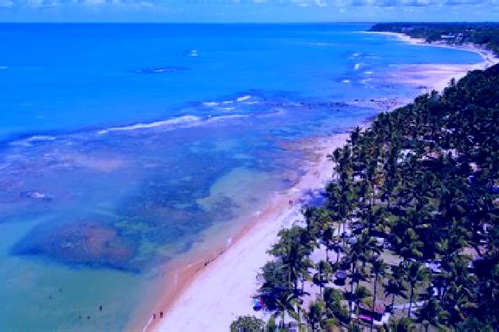 Escorts Porto Seguro, Brazil — Local Companions
