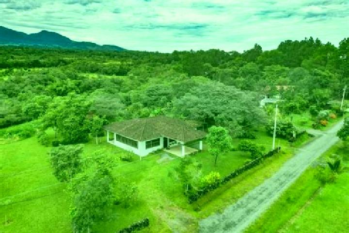 Escorts Potrerillos Abajo, Panama — Local Companions