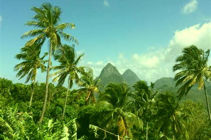Escorts Praslin, Saint Lucia — Local Companions