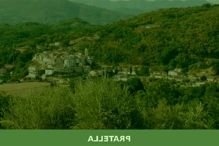 Escorts Pratella, Italy — Local Companions