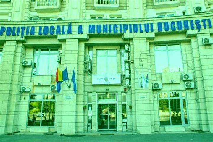 Escorts Prigor, Romania — Local Companions