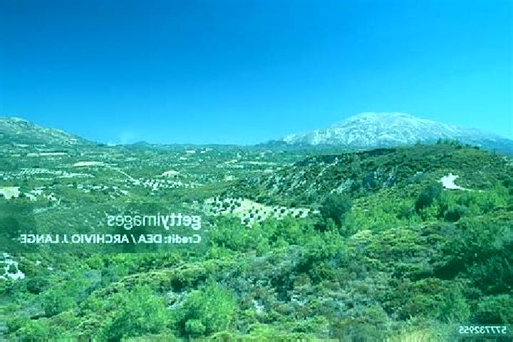 Escorts Profitis Ilias, Greece — Local Companions