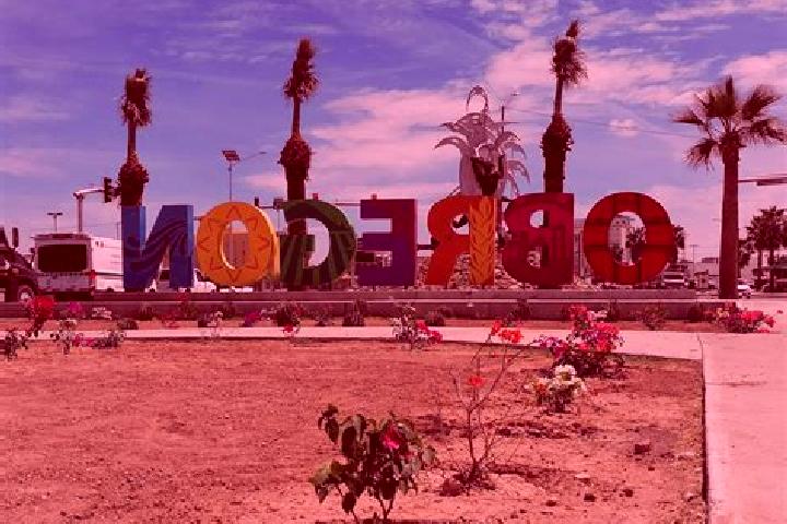 Escorts Progreso de Alvaro Obregon, Mexico — Local Companions