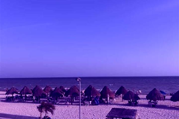 Escorts Progreso, Peru — Local Companions