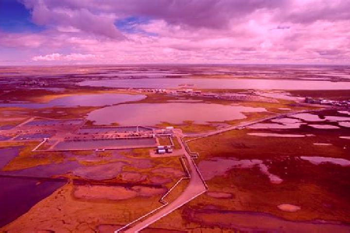 Escorts Prudhoe Bay, United States — Local Companions
