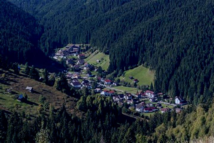 Escorts Puiestii de Sus, Romania — Local Companions
