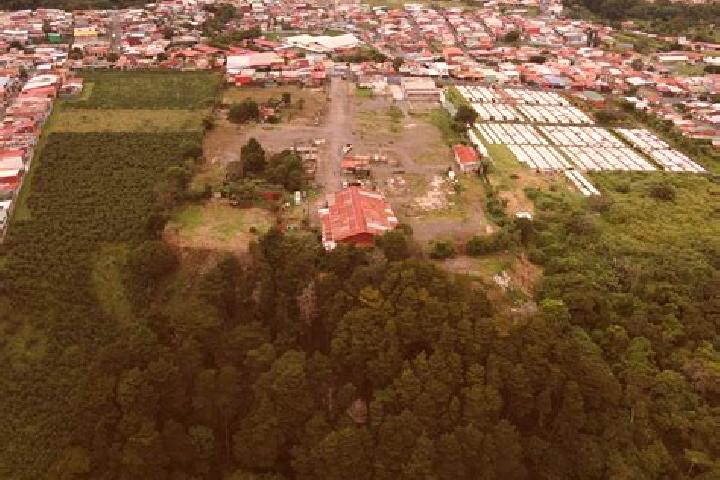Escorts Purral, Costa Rica — Local Companions