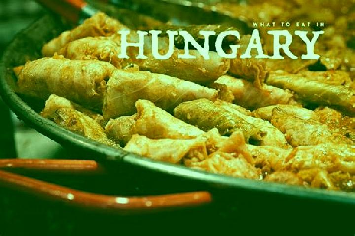 Escorts Pusztahencse, Hungary — Local Companions