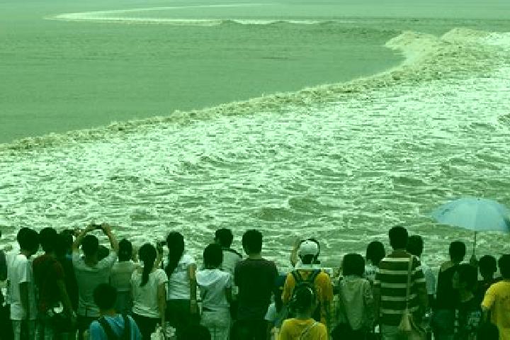 Escorts Qiantang, China — Local Companions