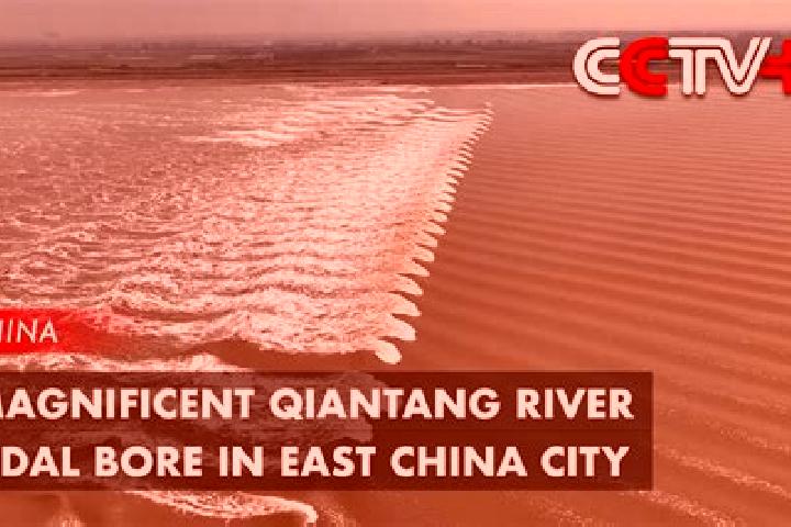 Escorts Quantang, China — Local Companions