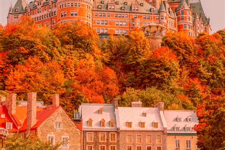 Escorts Quebec, Canada — Local Companions