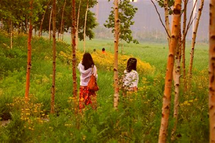 Escorts Qunli, China — Local Companions