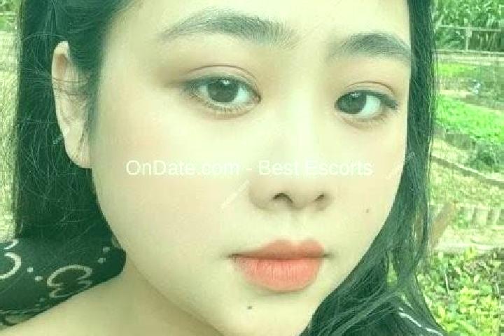 Escorts Quy Chau, Vietnam — Local Companions