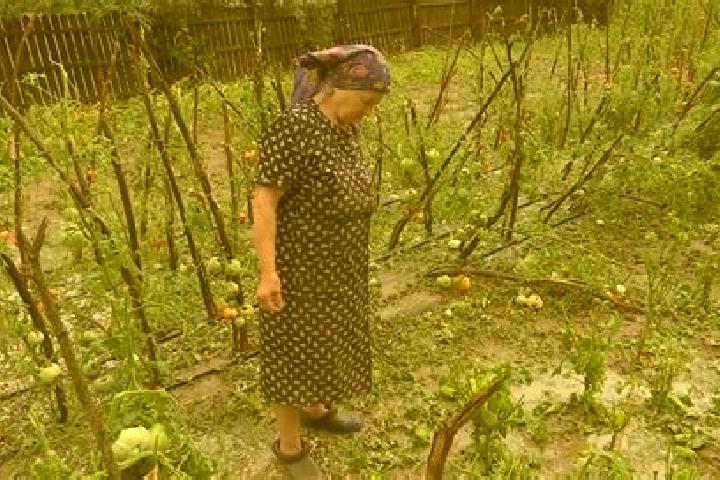 Escorts Racoviteni, Romania — Local Companions