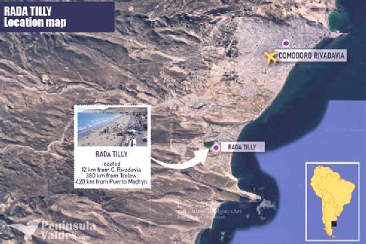 Escorts Rada Tilly, Argentina — Local Companions