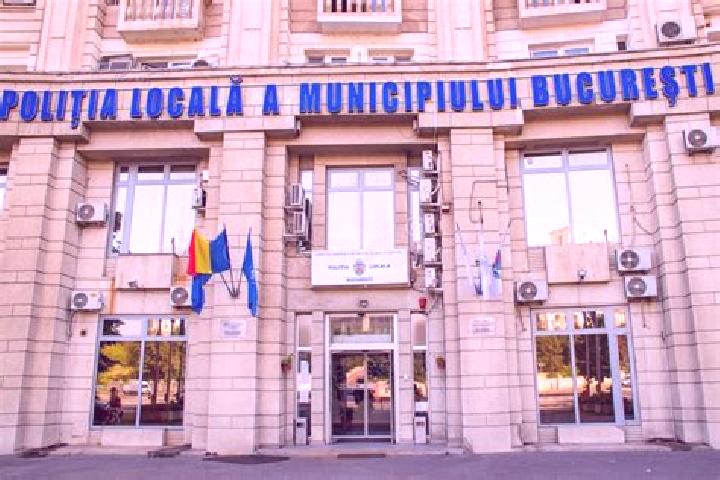Escorts Radna, Romania — Local Companions