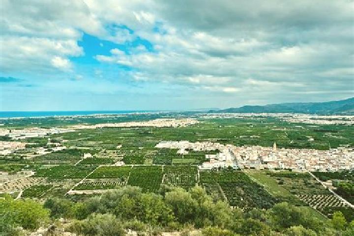 Escorts Rafelcofer, Spain — Local Companions