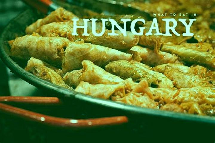 Escorts Rajka, Hungary — Local Companions